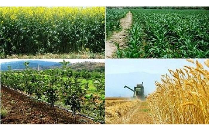 اتاق اصناف کشاورزی ایران تشکیل می شود اتاق اصناف کشاورزی ایران تشکیل می گردد