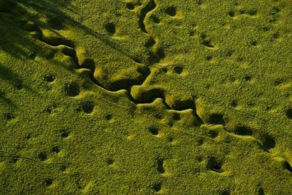 زخم های جنگ جهانی اول؛ نبردگاه بومون، هامل