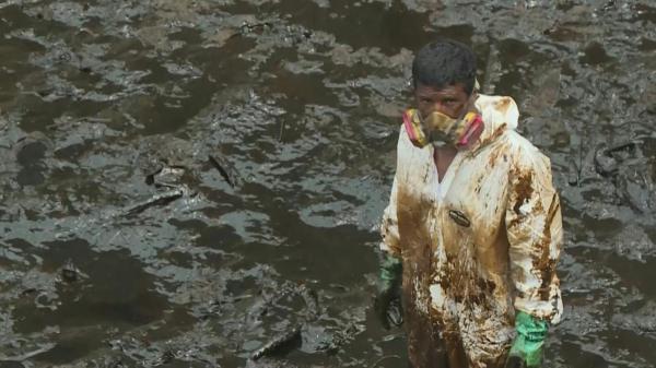فاجعه زیست محیطی پس از نشت نفت در ساحل پرو