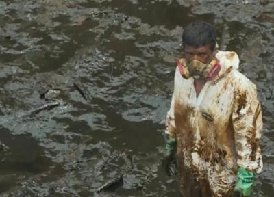 فاجعه زیست محیطی پس از نشت نفت در ساحل پرو
